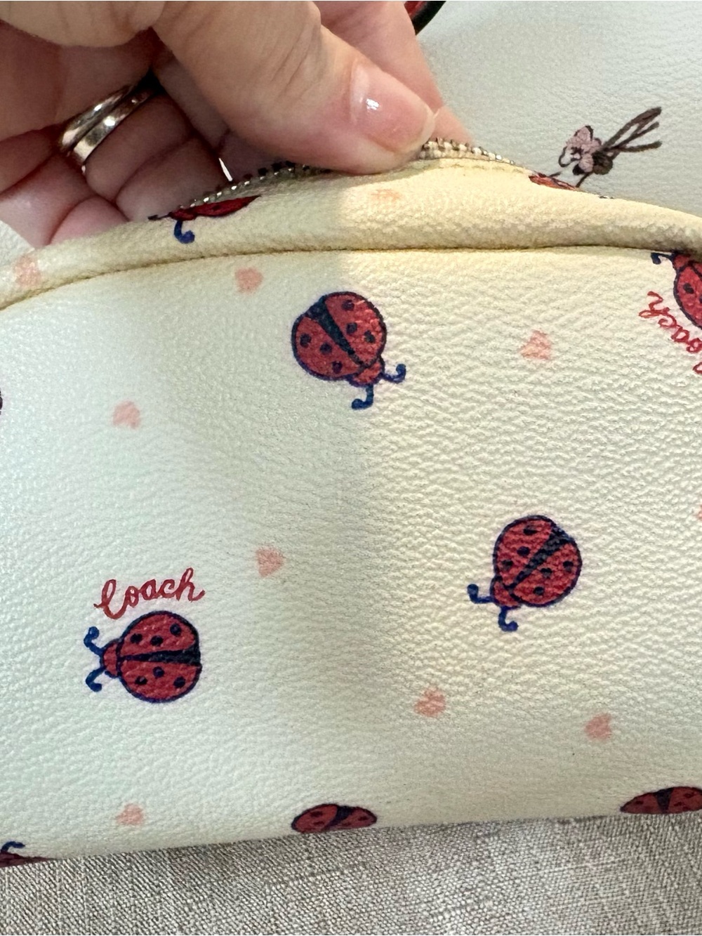 Coach Ladybug set - Picture 10 of 10